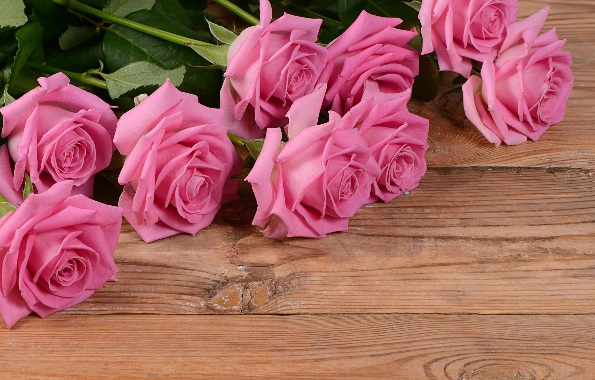 Розовая открытка с днем рождения. Розовые розы. Цветочки с днем рождения. Букет розовых роз с днем рождения. Розовые розы на рабочий стол.