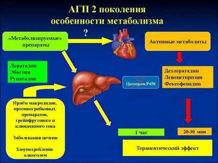 Антигистаминные печень
