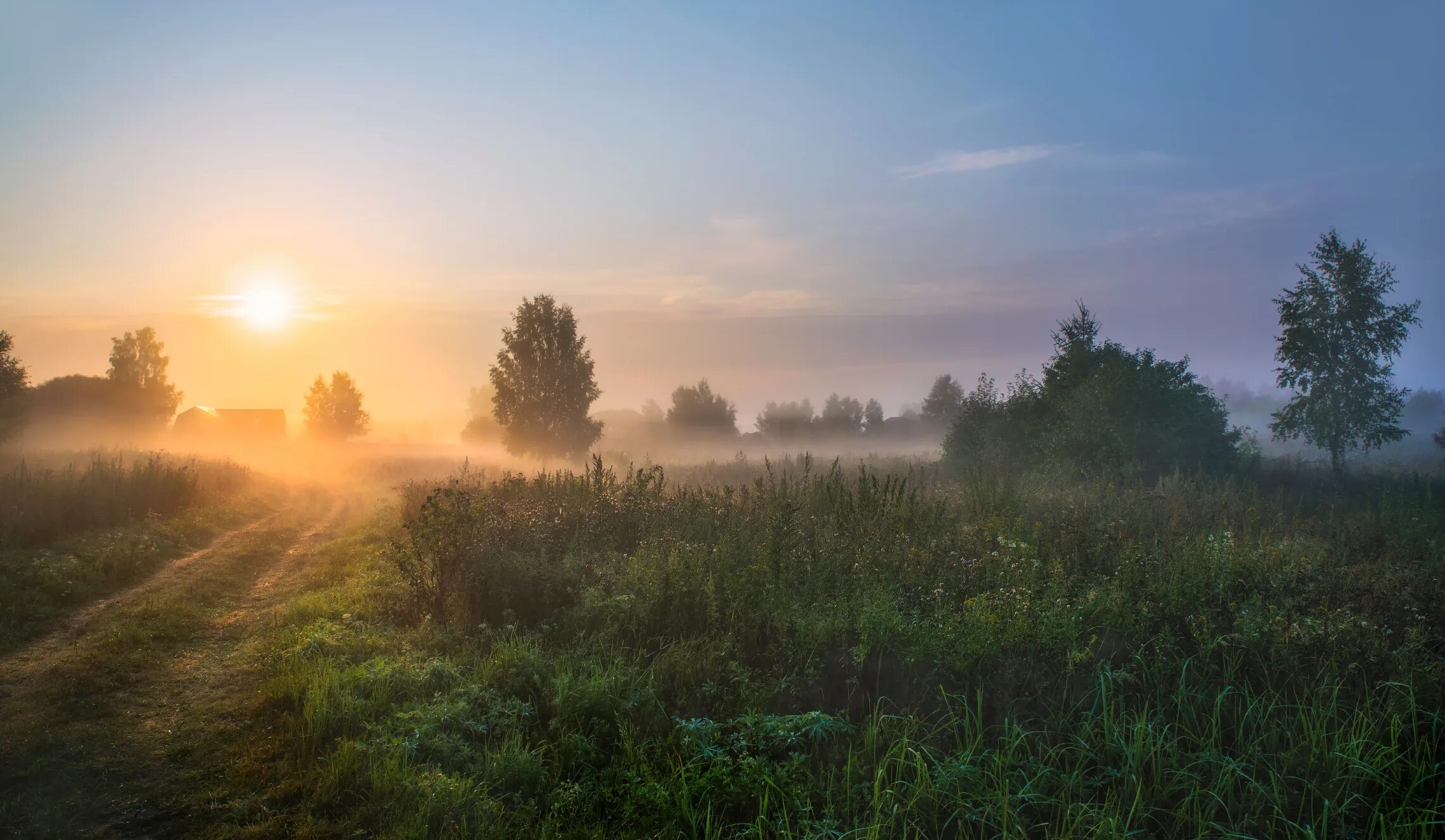 Деревня рано утром. Летнее утро в деревне. Раннее утро лето. Деревня утром. Деревня утром.