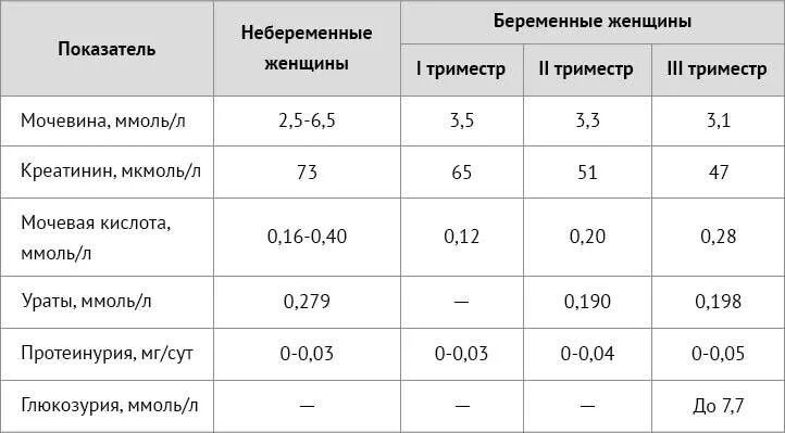 Белок у беременных 3 триместр