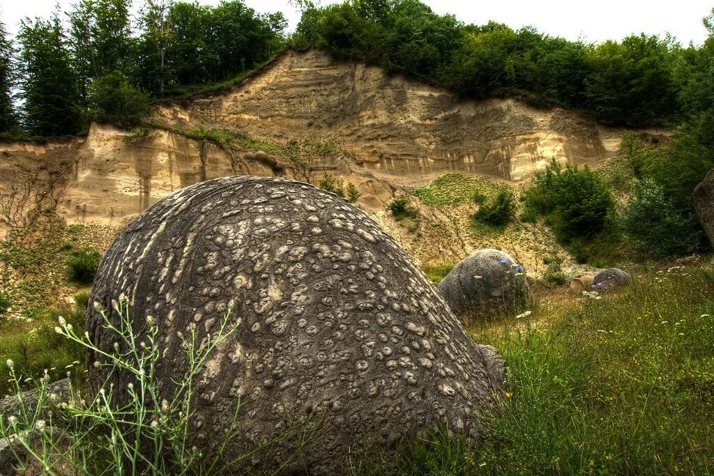 Где живут камни. Трованты живые камни Румынии. Камни Трованты. Растущие камни в Румынии. Растущие камни Трованты.