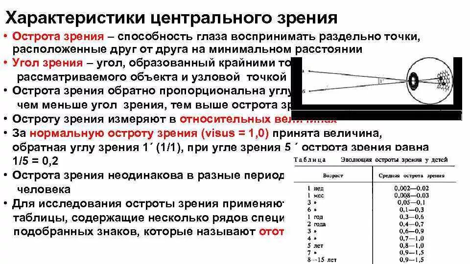 Точка лежащая зрение. Параметры остроты зрения. Острота зрения физиология. Угол зрения и острота зрения. Острота зрения характеристика.