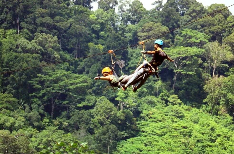 Полет гиббона пхукет. Полёт гиббона пхукет. полет гиббона паттайя. flying hanuman пхукет. полет ханумана пхукет.