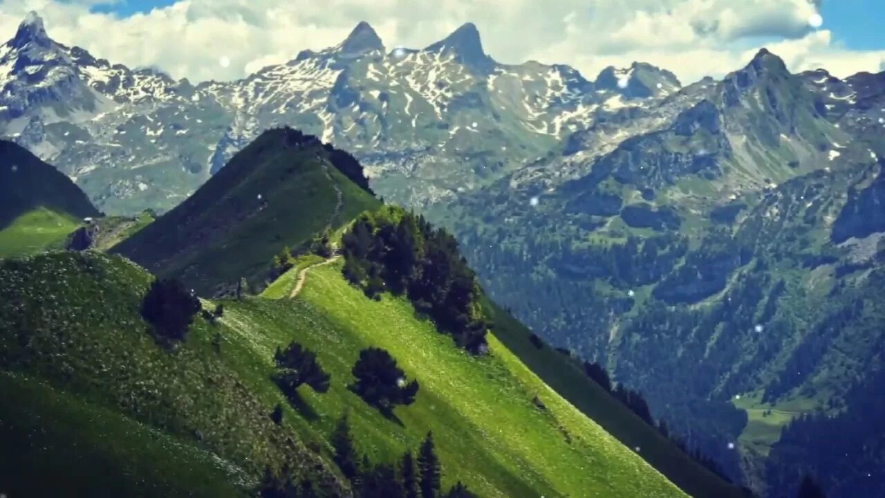 Альпийские горы в швейцарии. Альпы горы луга. Швеция альпийские луга. Франция горы альпы. Альпийские луга картинки.