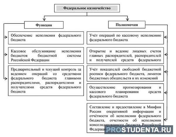 Функции казначейства на предприятии. Структура отдела казначейства в организации. Функции казначейства в банке. Структура федерального казначейства РФ. Виды казначейства