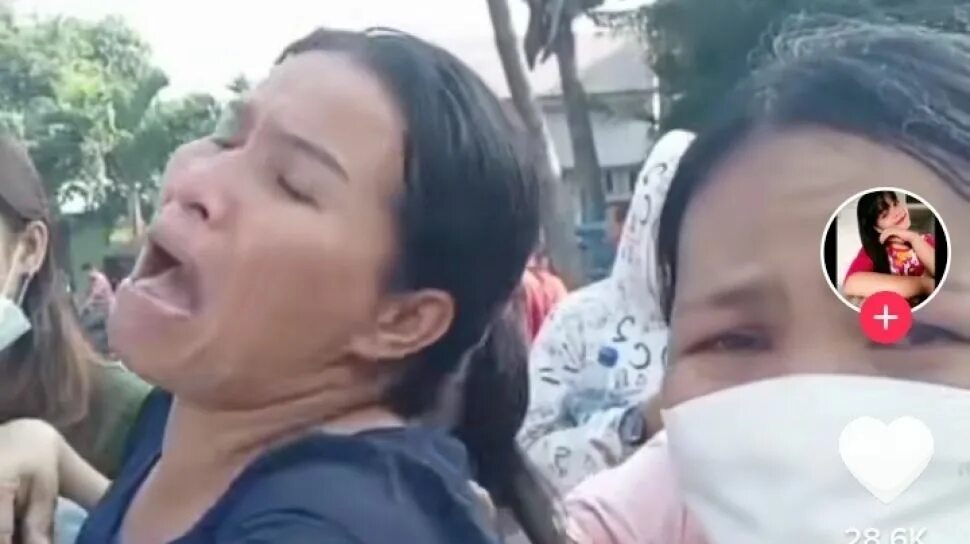 Emak emak viral. Emak emak viral