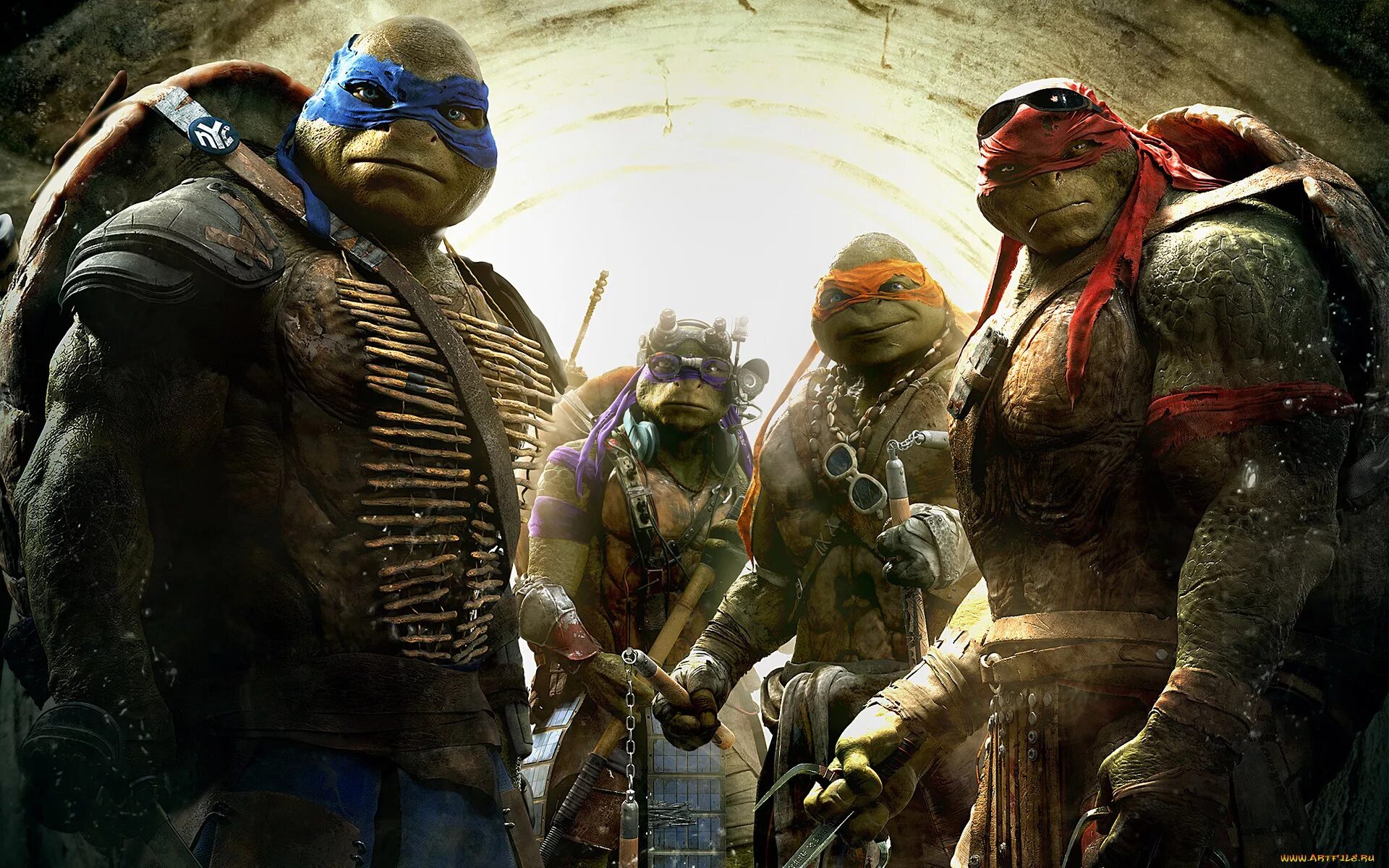 Mutant ninja 2014. Черепашки ниндзя 2014 донателло. черепашки ниндзя 2014 рафаэль. черепашки ниндзя 2014 микеланджело. teenage mutant ninja turtles фильм.