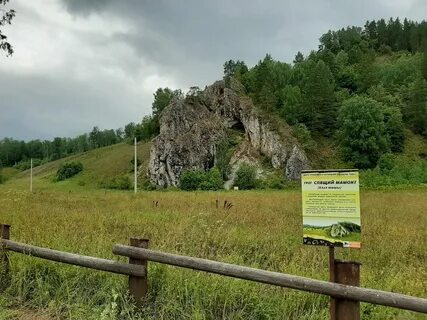 Фгбу башкирский