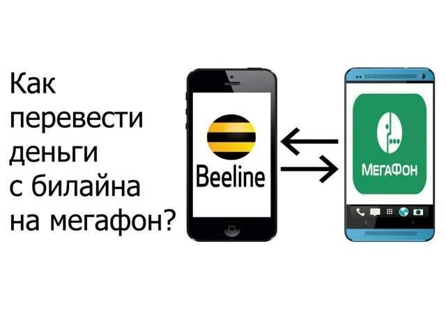 Как перекинуть телефона телефон билайн. Как перевести деньги с МЕГАФОНА на Билайн. Как перевезти деньги с Билайна на МЕГАФОН. Перевести деньги с Билайна на МЕГАФОН. Перевести деньги с Билайна на Билайн.