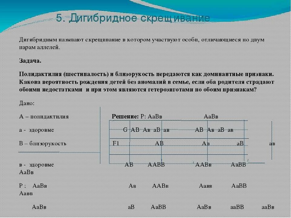 Моногибридное и дигибридное скрещивание 10 класс. Задача по генетике 10 класс на дигибридное. Генетические задачи дигибридное скрещивание. Задачи по биологии на дигибридное скрещивание. Задача на дигибридное скрещивание с решением 10 класс.