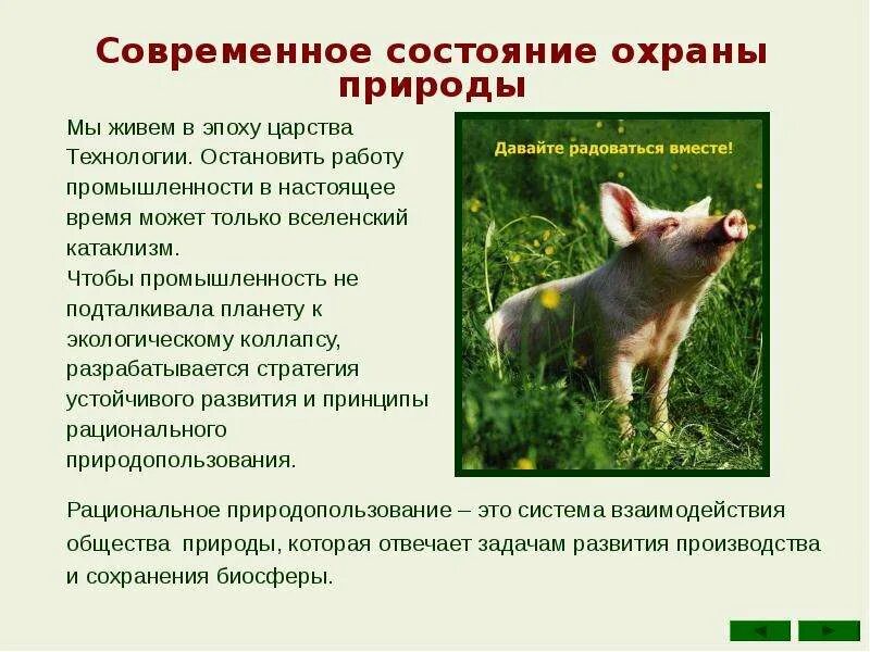 Охрана природы схема. Основные направления в охране природы. Основные направления охраны природы. Направления природной охраны. Современный этап охраны природы.