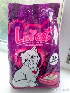 Love cat biz