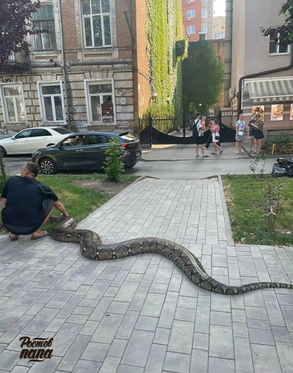 Вася пошел гулять python