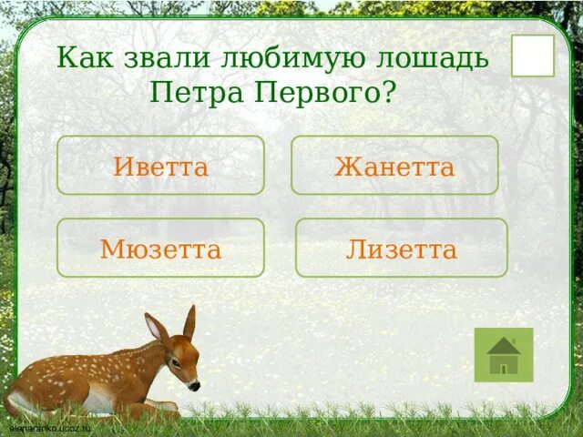 Как звали любимую лошадь. Как звали любимую лошадь петра первого. чучело лизетты лошади петра 1. кто какая птица умело подражает голосам многих птиц. какое животное петра 1 звали лизетта.
