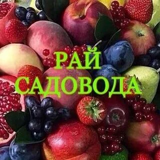 Рай садовода