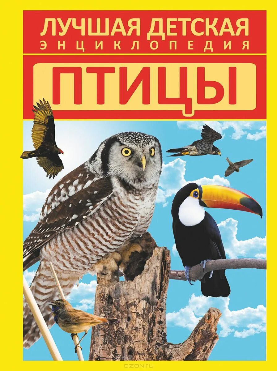 книги о птицах художественные. детская книга птицы. энциклопедия для детского сада росмэн. детская книга птицы. обложки книг с птицами.