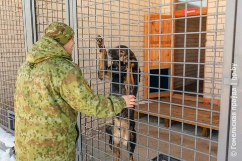 Граница позволенного