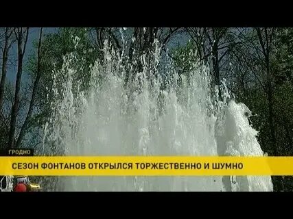 Мята гродно
