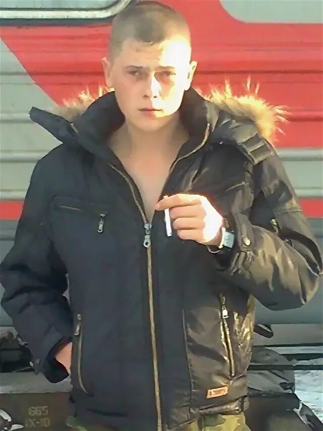 Давуд. Коля лес. Коля лес. Коля лес. Подвигин николай иванович.