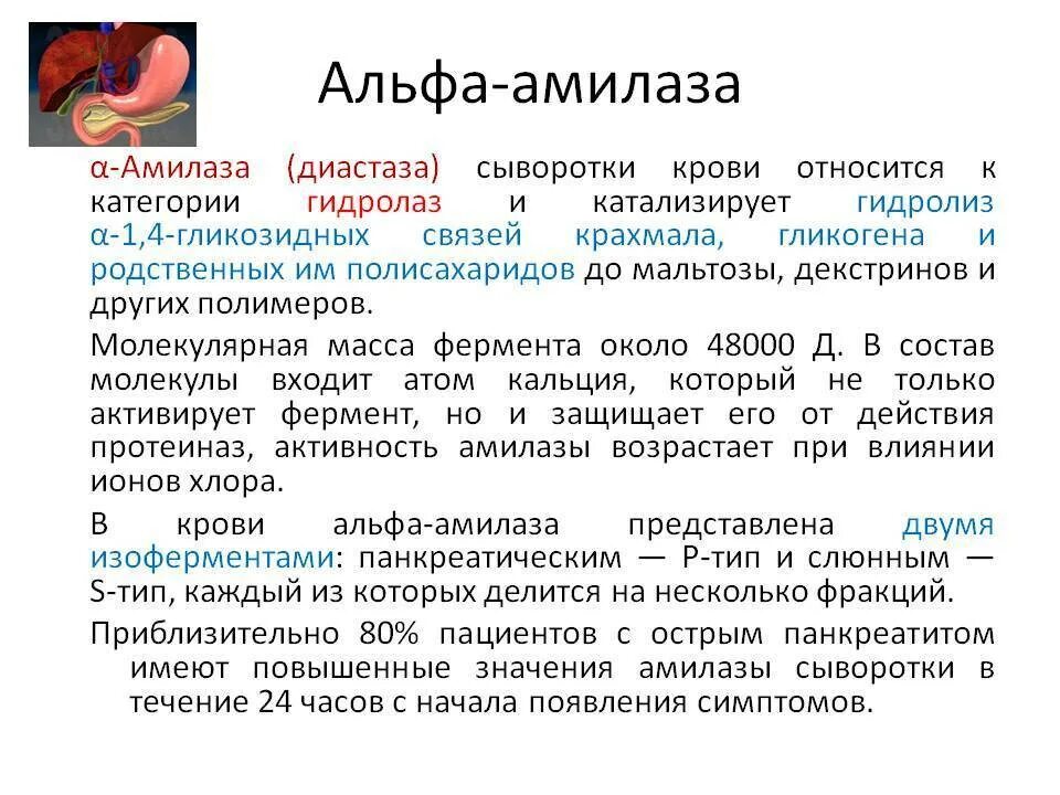 Что значит низкая спам активность. Норма Альфа амилазы в крови. Активность Альфа амилазы в норме. Альфа амилаза сыворотки крови. Активность Альфа амилазы в крови норма.