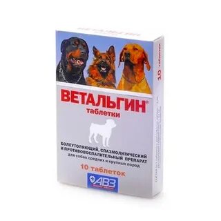 Обезболивающие для собак при болях