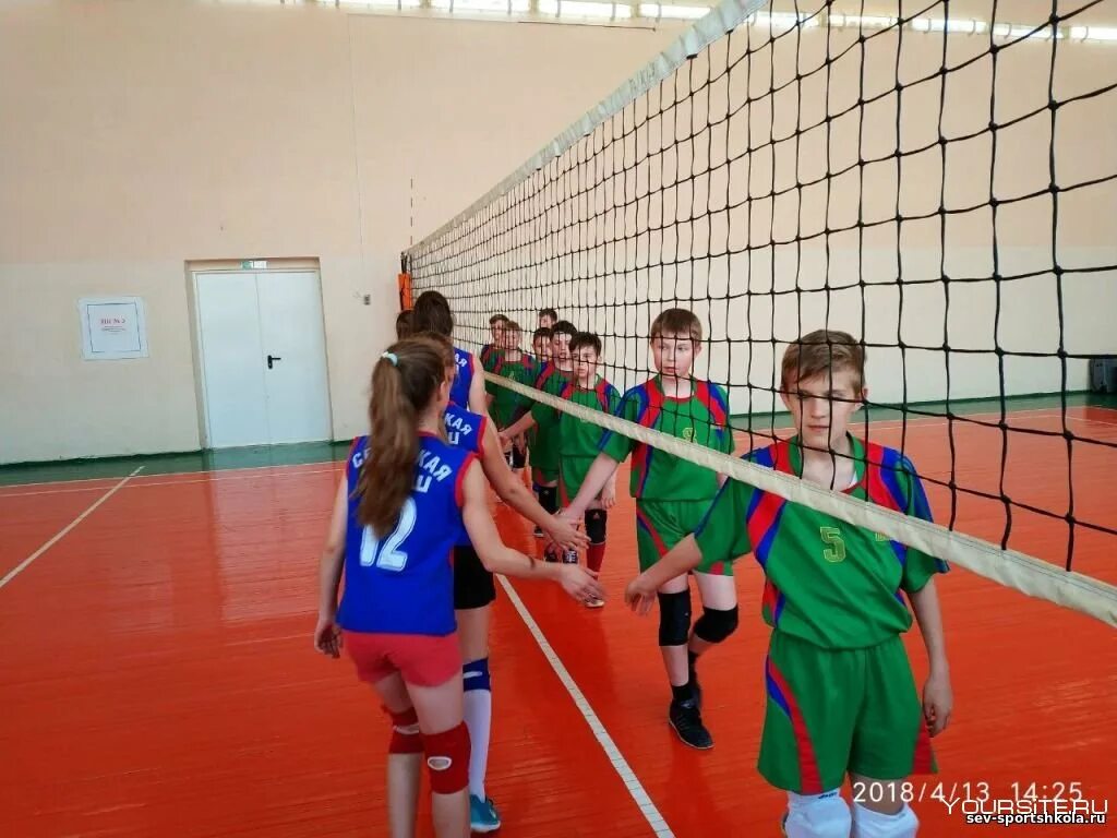 Волейбол в школе. Тренировка по волейболу в школе. Детский волейбол девочки. Волейбол дети. Зал для волейбола в школе.