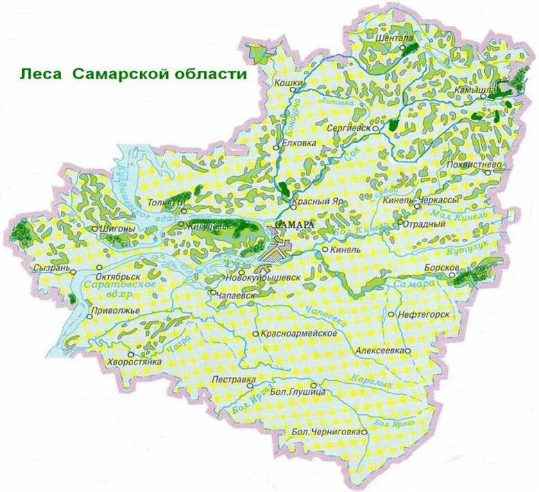 Правила самарской области. Карта хвойных лесов Самарской области. Карта Самарской области. Карта лесов Самарской области. Карта схема лесов Самарской области.