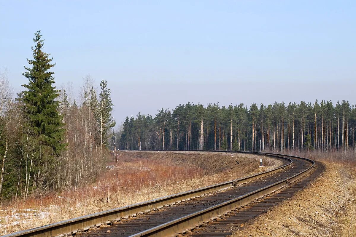 цистерна, модель 15-ц865. железнодорожная улица 15/1 новосибирск. олеум цистерна. скнятино станция жд. вагон-цистерна для олеума.