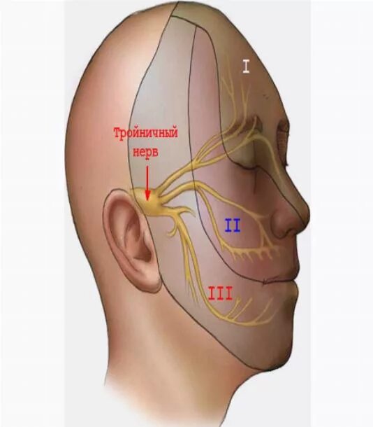 Триггерные зоны тройничного нерва. Воспаление тройничного нерва. Глазные нервы на лице. Тройничный нерв на лице.