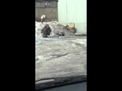 Какая как какают на улице
