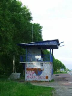 Пост гая