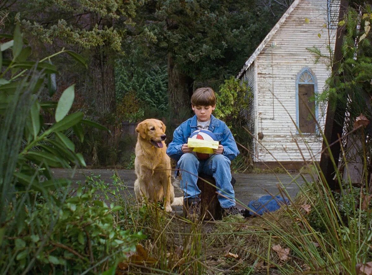 Бадди король воздуха. Король воздуха собака. Фильм бадди король воздуха. Король воздуха: лига чемпионов фильм 2000. Король воздуха собака.