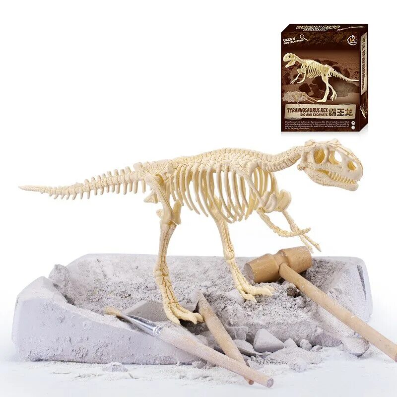 Dinosaur Bone Fossil набор юного. Dinosaur Bone Fossil игрушка раскопки динозавров. Раскопки динозавров Дино Велоцираптор. Набор археолога Dinosaur Bone Fossil. Игра кости динозавров