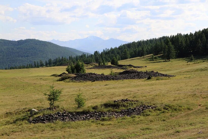 Пазырыкские Курганы горный Алтай. Пазырыкские Курганы на Алтае. Пазырыкские Курганы Улаганского района. Пазырские Курганы Алтай.