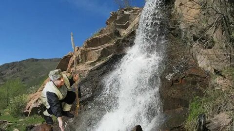 Одинокий пастух слушать без рекламы