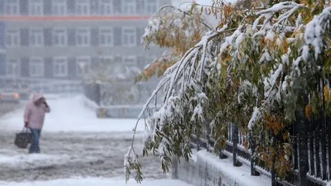 Когда пройдет 1 снег