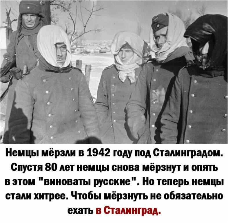 Xolidayboy в таком морозе пропадает боль. Замерзшие немцы под Сталинградом зимой. Сталинград замерзающие немцы.