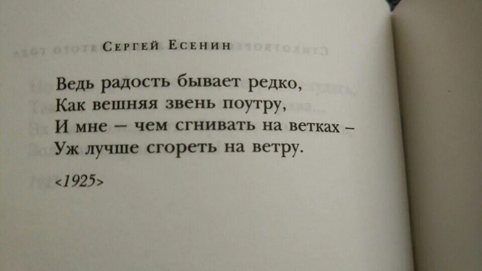 Лучше сгореть чем. Ведь радость бывает редко как вешняя звень поутру. Есенин гореть. И мне чем сгнивать на ветках уж лучше сгореть на ветру. Лучше сгореть на ветру чем сгнивать ветках.