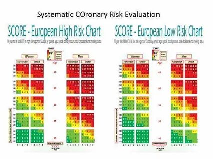 Evaluation system