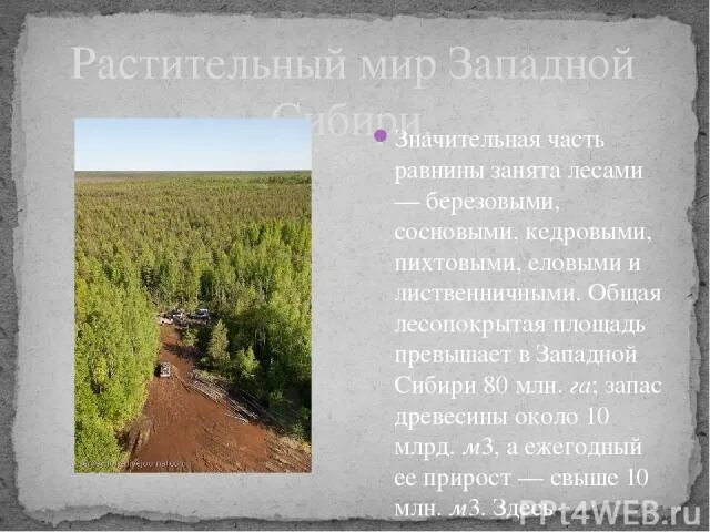 Растительность Западной Сибири. Растительность Западно сибирской равнины. Реакционные ресурсы Западной Сибири. Биологические ресурсы Западной Сибири. Растительный и животный мир западно сибирской равнины