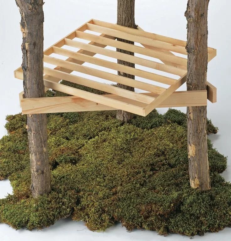Make a tree house