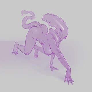 alienMilfhunt.jpg 