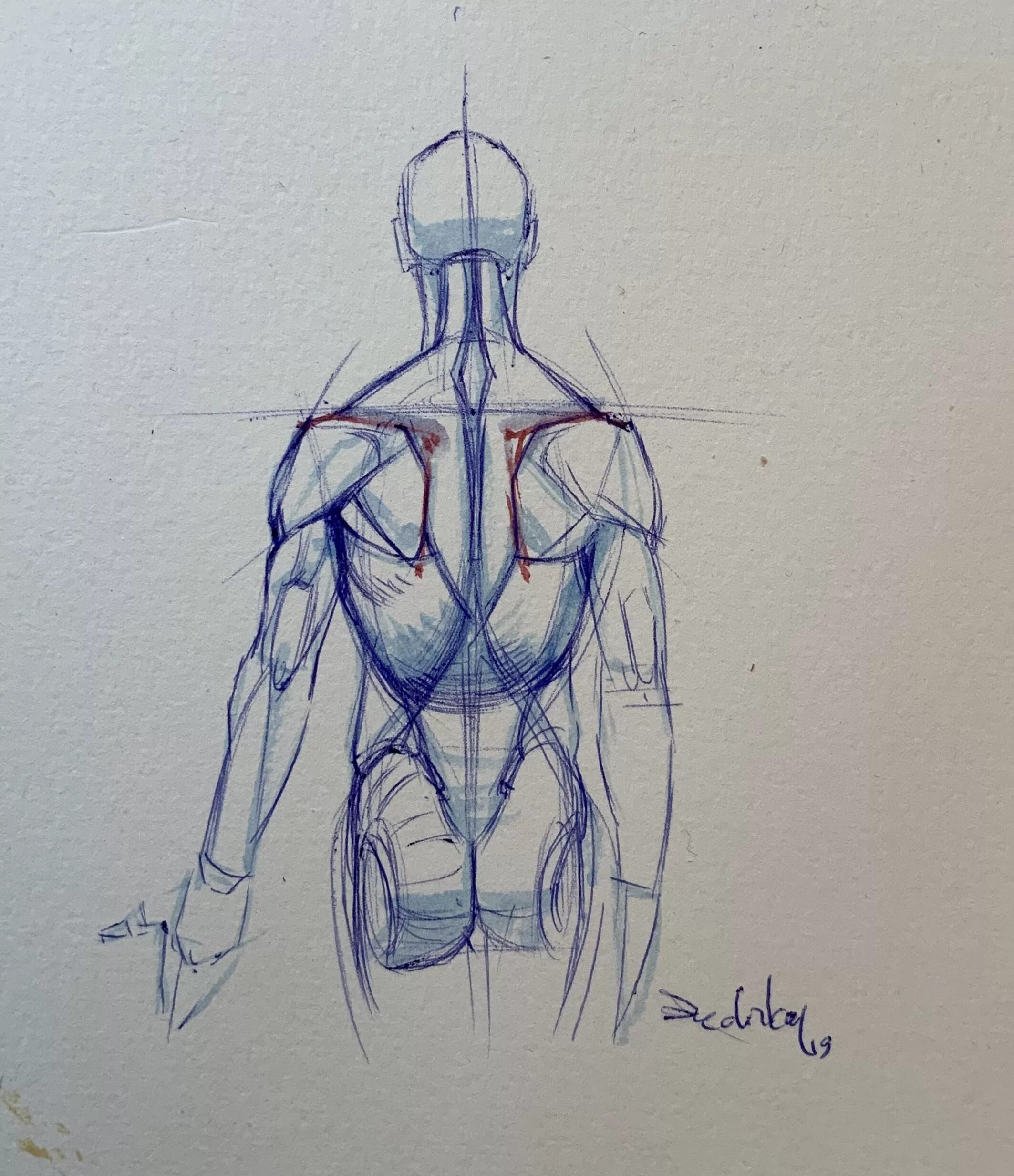 Красивые рисунки тела. Тело человека для рисования. Анатомия человека для рисования. Тело карандашом. Анатомия тела для рисования.