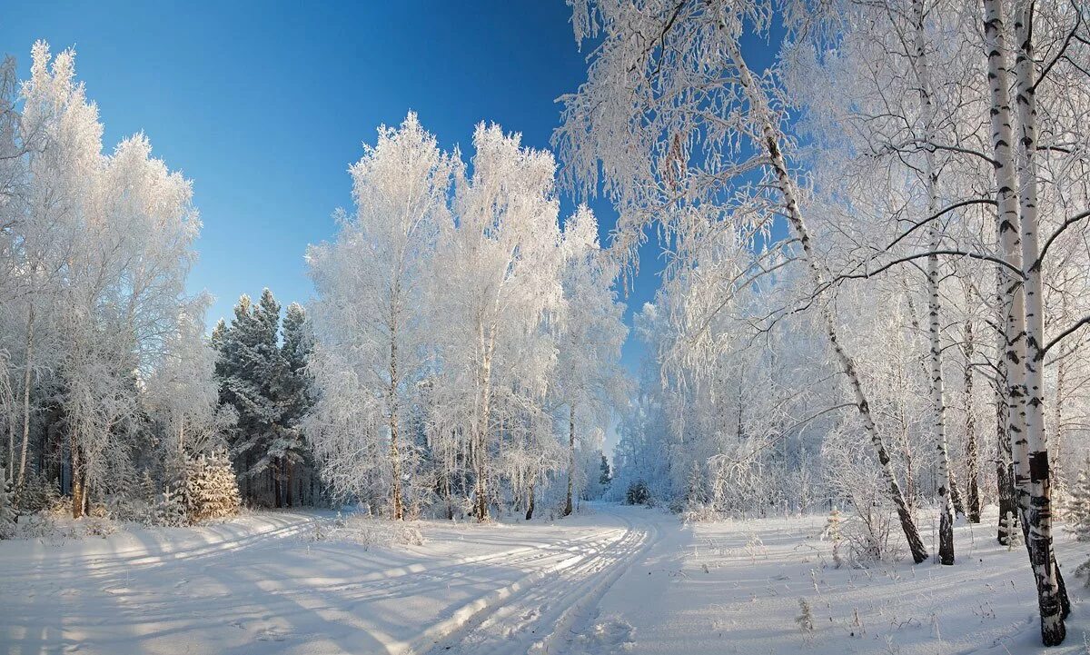 Зима ни. Русская природа зимой. Красота русской зимы. Русский лес зимой. Зимний день.