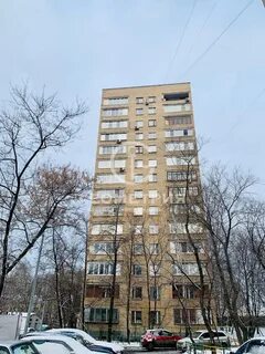Компания беговая