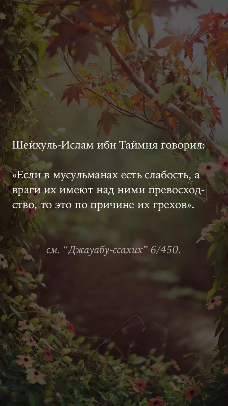 Ибн таймия сказал. Ибн таймия сказал. Дуа притесненного. Ибн таймия сказал. Высказывания ибн таймии.