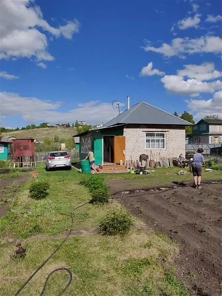 Село Березовка Алтайский край Павловский район. Село Рогозиха Алтайский край. Рогозиха Алтайский край Павловский район. Село Стуково Алтайский край. Стукова алтайский край погода