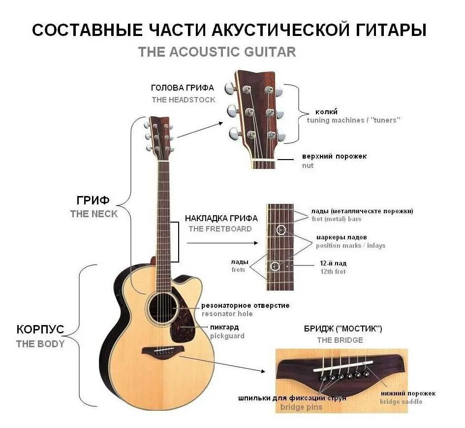 Какие гитары лучше звучат. Строение гитары акустической. Как называются части гитары акустической гитары. Структура гитары акустика.