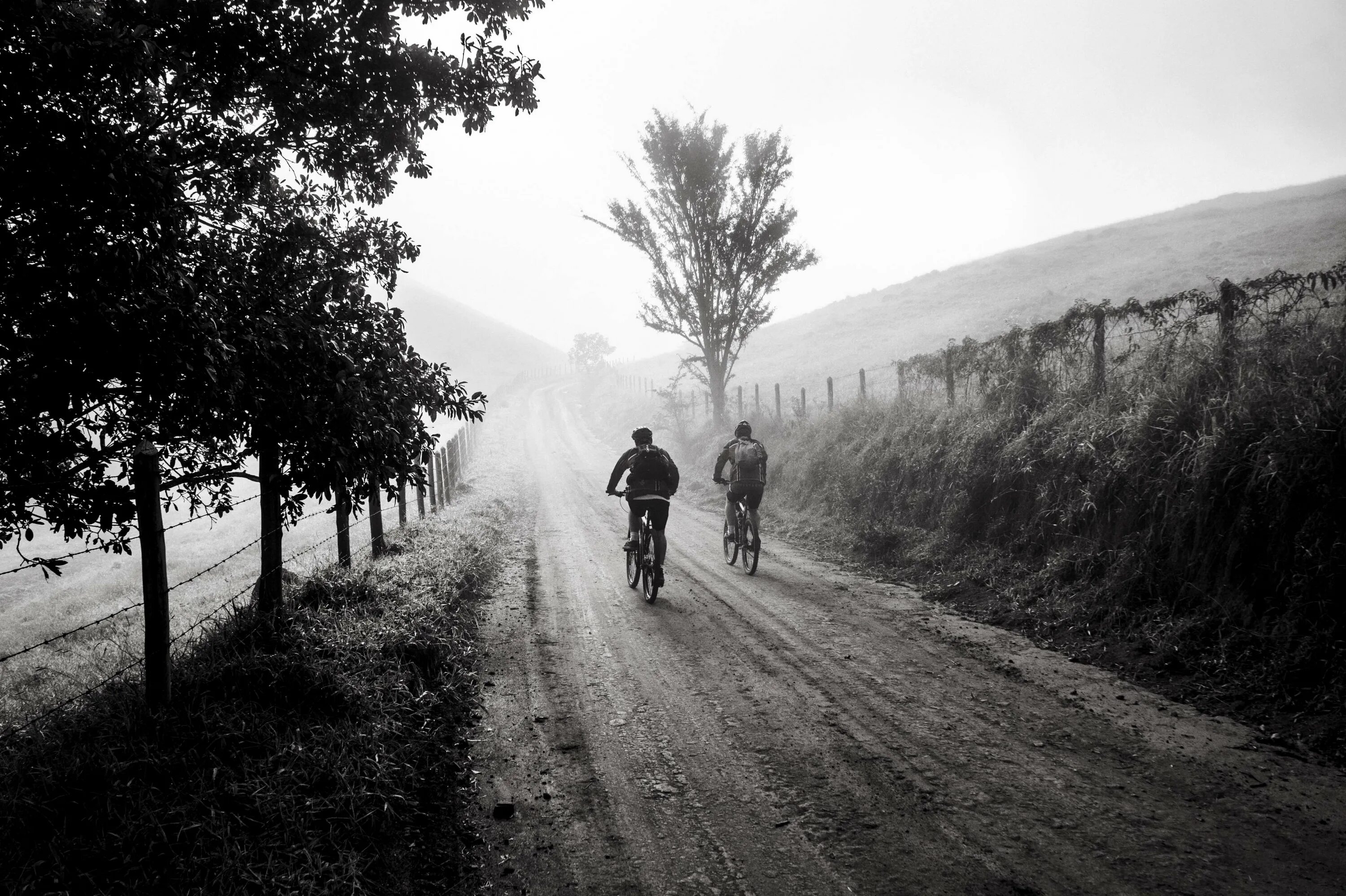 People this road. Монохромные фотографии. Дорога черно белая. Дорога в тумане. Монохромный пейзаж фотографии.