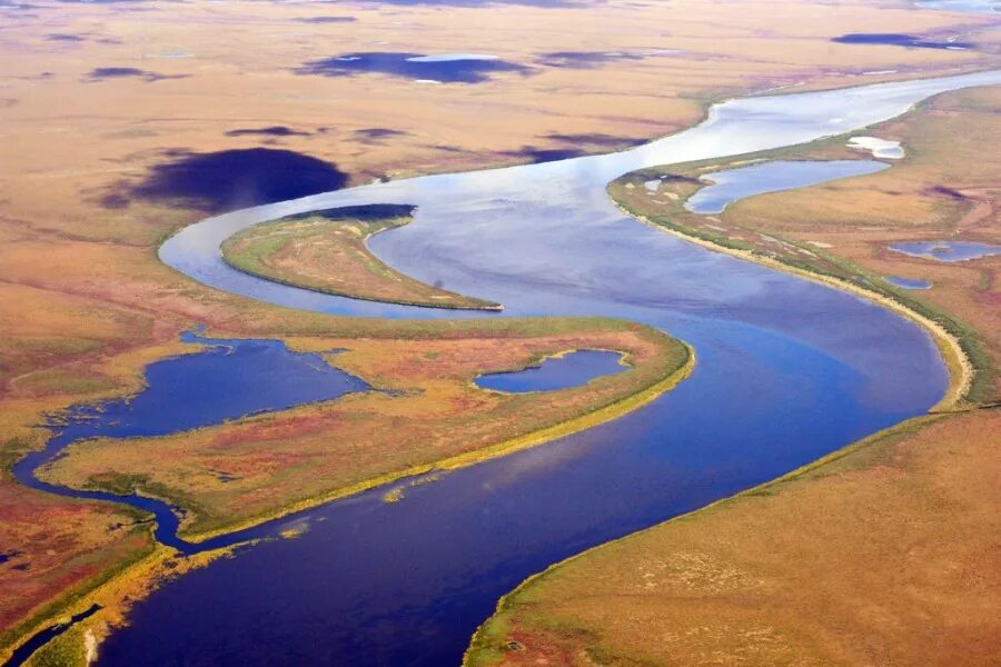 Амгуэма чукотка река. Река большой анюй чукотка. Анадырь исток. Дальний восток река анадырь. Бассейн реки анадырь.
